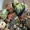 yu-kiの作ってみた!投稿(【おくらとちくわのひじきごまマヨ】あと1品♪栄養満点副菜♡)