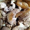 1207859の作ってみた!投稿(豚肉と玉ねぎのスタミナ炒め)