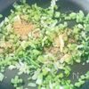 簡単栄養ごはん♪かぶの葉とたくあんのパラパチャーハンの工程2