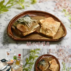 クラ蔵の作ってみた!投稿(焼いて煮ると旨くなる！【鯖の味噌煮】)