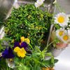 そら・ゆずの作ってみた!投稿(春♪菜の花のからし昆布和え)