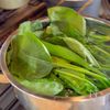 ほうれん草のごま玉サラダの工程1
