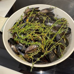 アヤチャンの作ってみた!投稿(ムール貝の白ワイン蒸し)
