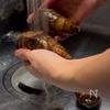 カリカリほくほくフライド里芋の工程1