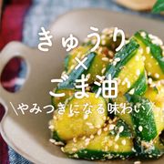 「きゅうり×ごま油」30選｜やみつきになる味わい