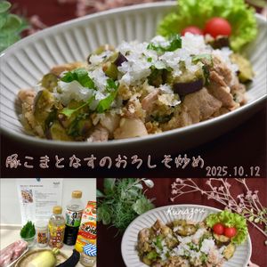 クラ蔵の作ってみた!投稿(味付けこれひとつ！『豚こまとなすのおろしそ炒め』)