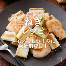 「ねぎレシピ」50選｜メインにおつまみに大量消費に！