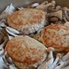 秋に食べたい【ふわとろ!きのこあんたまバーグ】の工程2