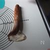 チョコとくるみたっぷり!マーブルチョコベーグルの工程8