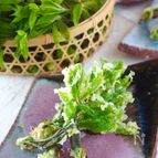 【天ぷら粉以上の自家製天ぷら粉】薄力粉でカリッと山菜の天ぷら