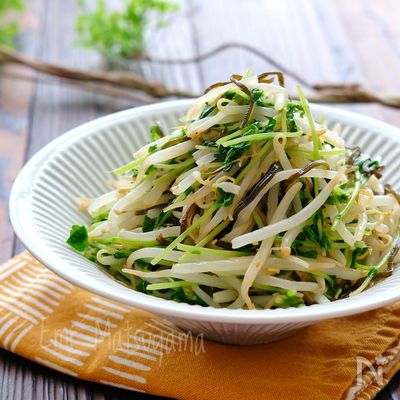 シャキシャキもやしと豆苗の塩昆布ナムル