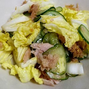 猫の作ってみた!投稿(【白菜が一気に消える】白菜とツナの中華サラダ)