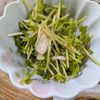 れいかの作ってみた!投稿(切って和えるだけ！豆苗と長ネギのサラダ)
