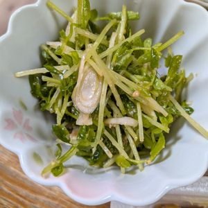れいかの作ってみた!投稿(切って和えるだけ！豆苗と長ネギのサラダ)