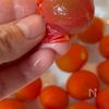 冷やして美味しい！ミニトマトと玉ねぎの白だしレモンマリネの工程2