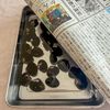 濃厚♪【しじみdeクラムチャウダー】パワーチャージを洋風でもの下準備