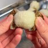 ねっとり食感がクセになる◎里芋のスイチリクリームポテトの工程1