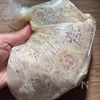 しっとりやわらか【鶏むね肉と新玉ねぎの甘辛炒め】の工程1
