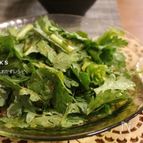 素材一品だけ！レシピ、激早！春菊ごま酢和え