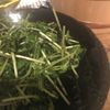 ミクオの作ってみた!投稿(豆苗のやみつきサラダ)