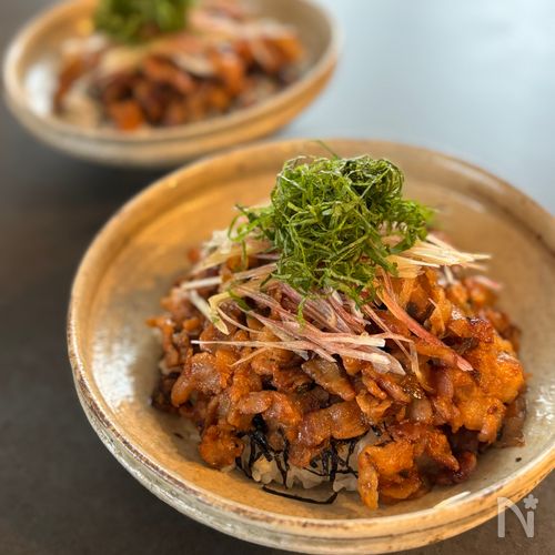 薬味たっぷり♪豚まぶし丼
