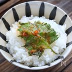 やみつき！こく旨！大葉のピリ辛オイスターソース漬け