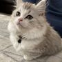 ななな