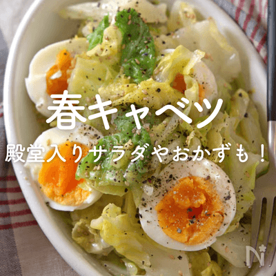 春キャベツの人気レシピ｜殿堂入りのサラダやおかず、パスタも♪