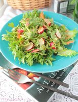 とまらない、パクチーとラディッシュのサラダ