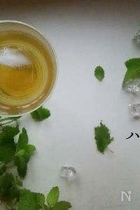 ハーブコーディアル～3種のレモン系ハーブ～