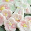 おこしもの～名古屋のひな祭りの和菓子
