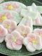 おこしもの～名古屋のひな祭りの和菓子