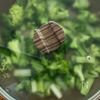 【しらすブロッコリー】茹でずに簡単♪の工程5