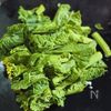 菜の花の春色ガッツリサラダの下準備