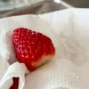 萌え断♡CUBE形いちごサンドの下準備