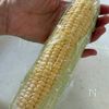 味付けこれ1本!揚げずに簡単!とうもろこしの唐揚げバジル風味の下準備