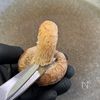 肉巻きチーズ椎茸のやみつき甘辛炒めの工程1