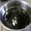 【10分完成】調味料1つ!ダイエットに♪こんにゃくワカメご飯の工程2