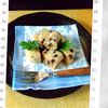 チョロリスの作ってみた!投稿(レンジで3分！オートミールのチョコバナナ蒸しパン)