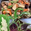 そら・ゆずの作ってみた!投稿(根菜たっぷり♡簡単美味しい！『我が家の筑前煮』)