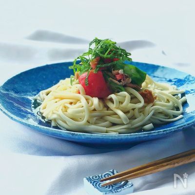 *梅つゆサラダうどん*