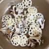 【れんこんと舞茸のオイスターソース炒め】コク旨◎の工程2