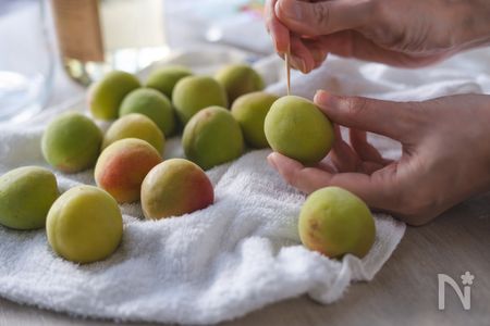 竹串などを使って青梅のヘタを取る