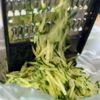 5分でやみつき！【無限きゅうり】の工程1