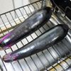 しっかり冷やして「生姜醤油で食べる焼き茄子」の下準備