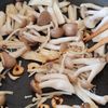きのこと水菜のサラダ熱々ごま油ソースの工程3