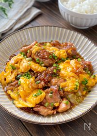 ご飯ものの人気料理 レシピランキング 842品 Nadia ナディア