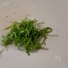 一品満足!茄子と豚しゃぶのぶっかけおろしそうめんの工程4