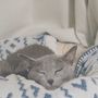 ちうちう