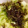 材料ふたつで副菜！《キャベツの韓国海苔和え》の工程2